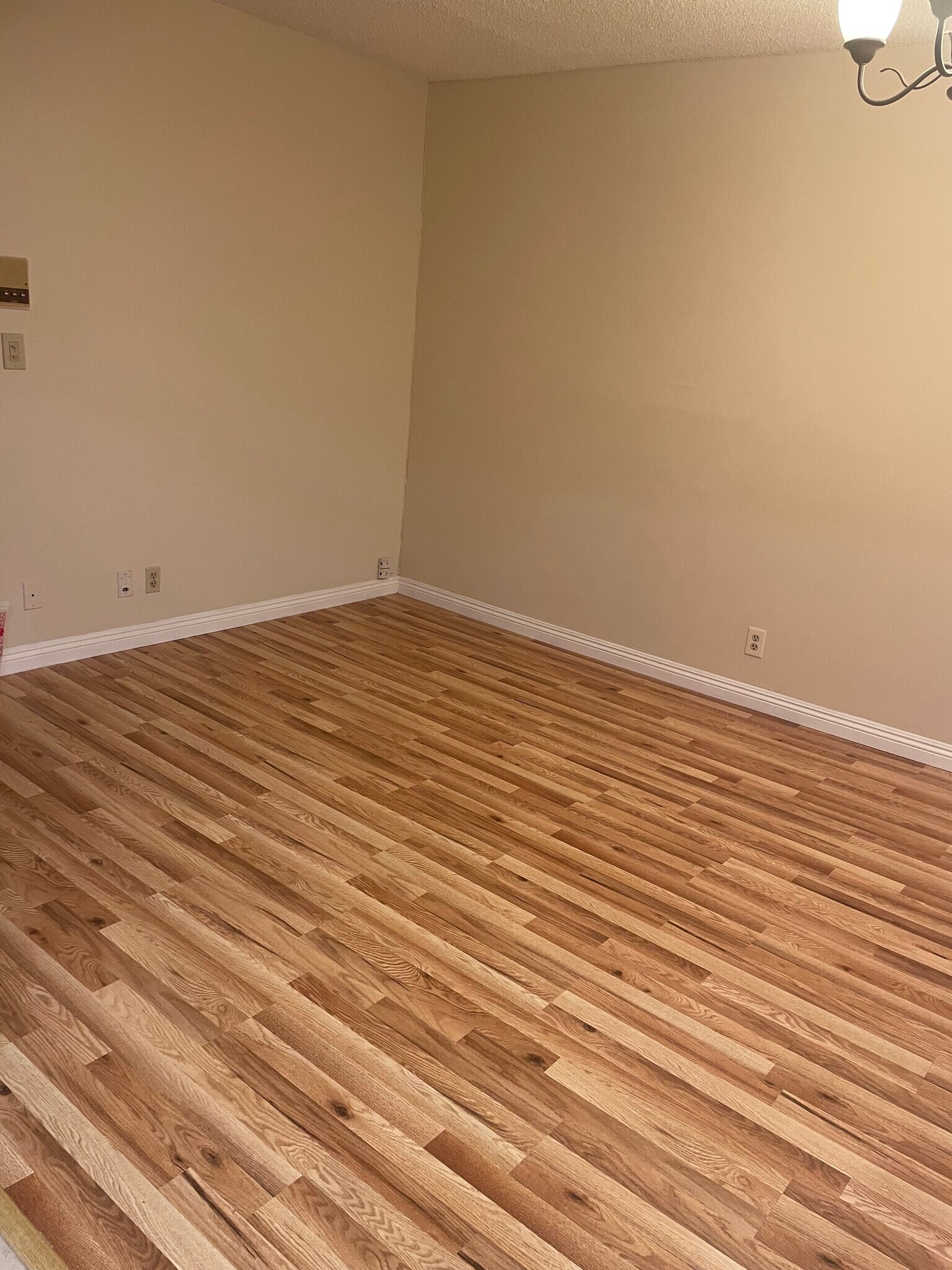 Building Photo - 524 N Maryland Ave