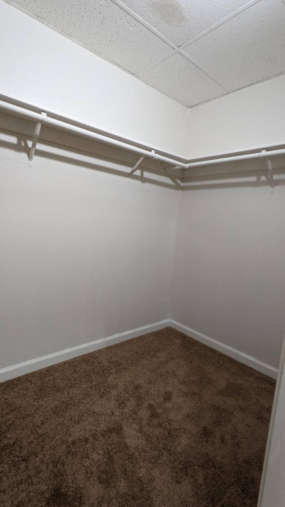 Building Photo - 4681 Albany Cir