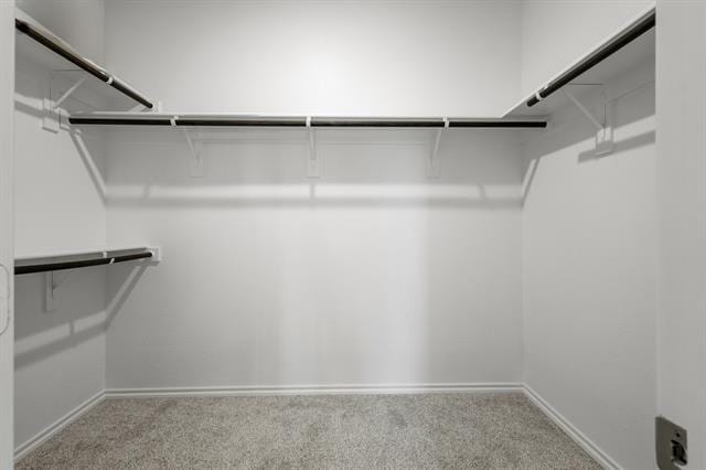 Building Photo - 2333 Bellatrix Dr