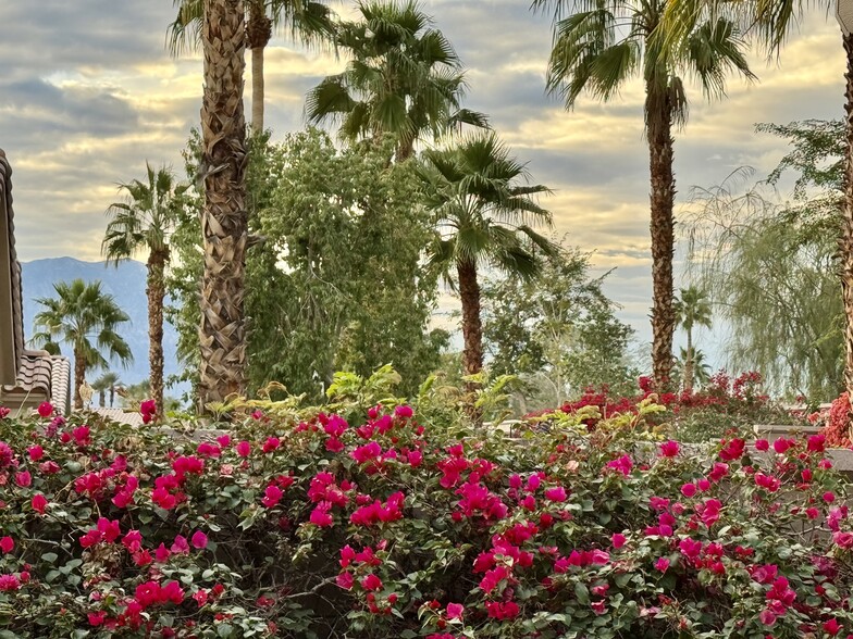 VIEW FROM BACK PATIO - 78686 Hampshire Ave