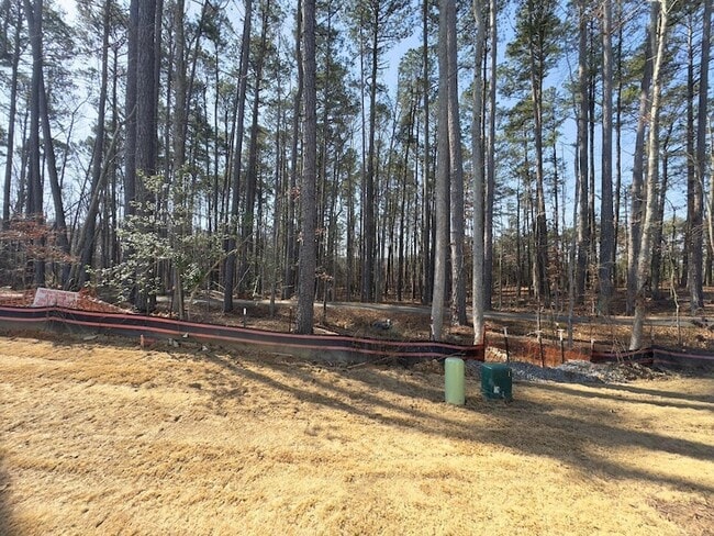 Building Photo - 1856 Alpine Summer Ln