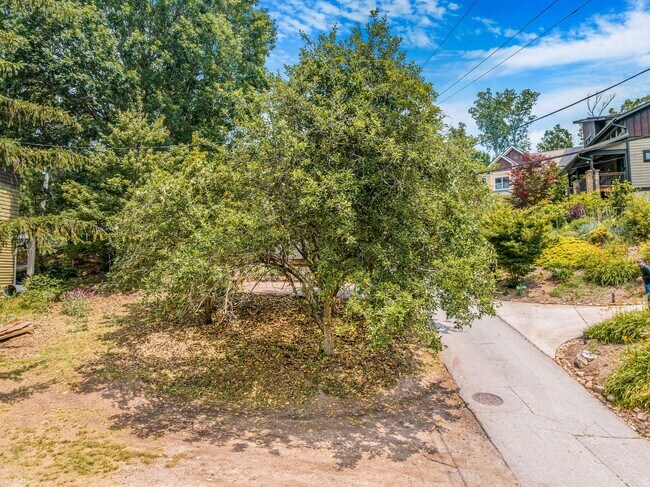 Building Photo - Asheville Rental!