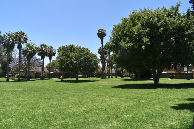Building Photo - 3 Bedroom 2 Bath Single Story Home- Mesa V...
