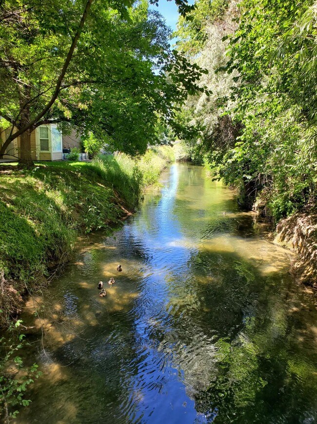 Building Photo - 2304 Sunnybrook Dr