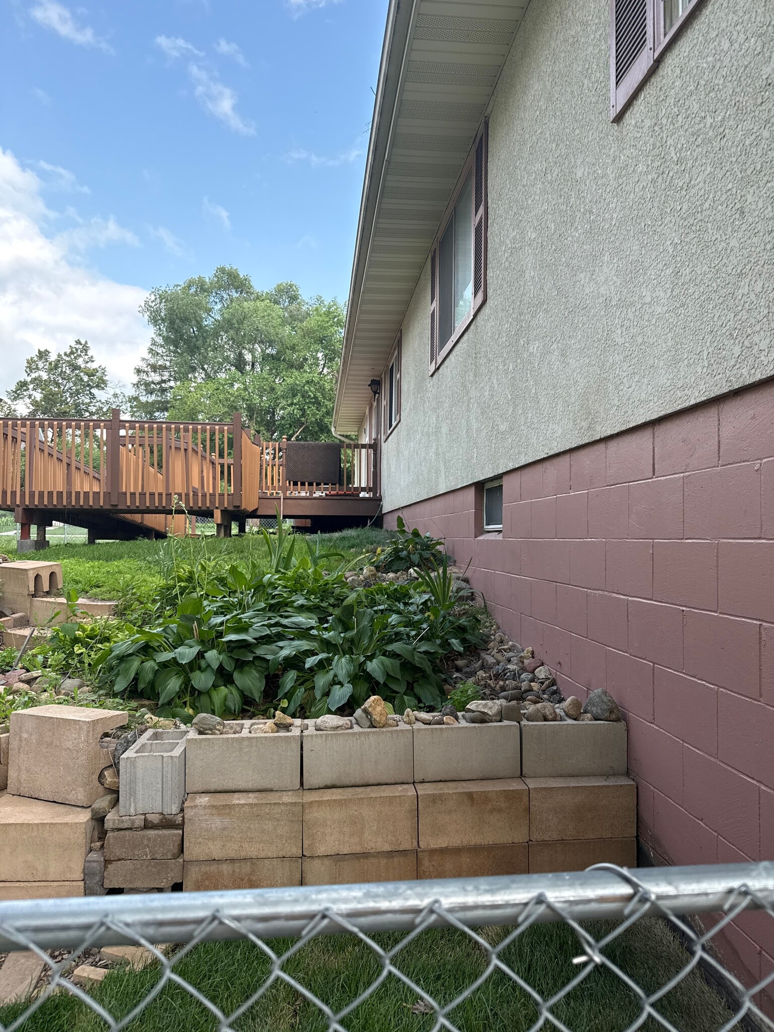 Portion of side yard - 729 3rd St