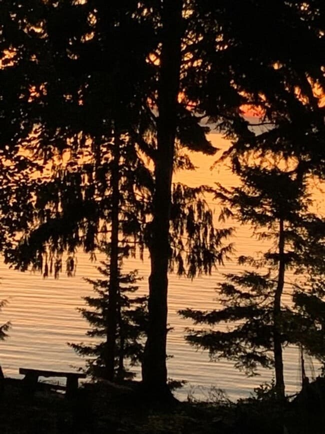 Building Photo - 392 Buck Loop Rd