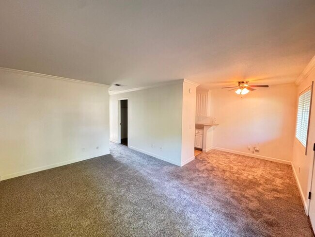 Building Photo - 356 Robinson St