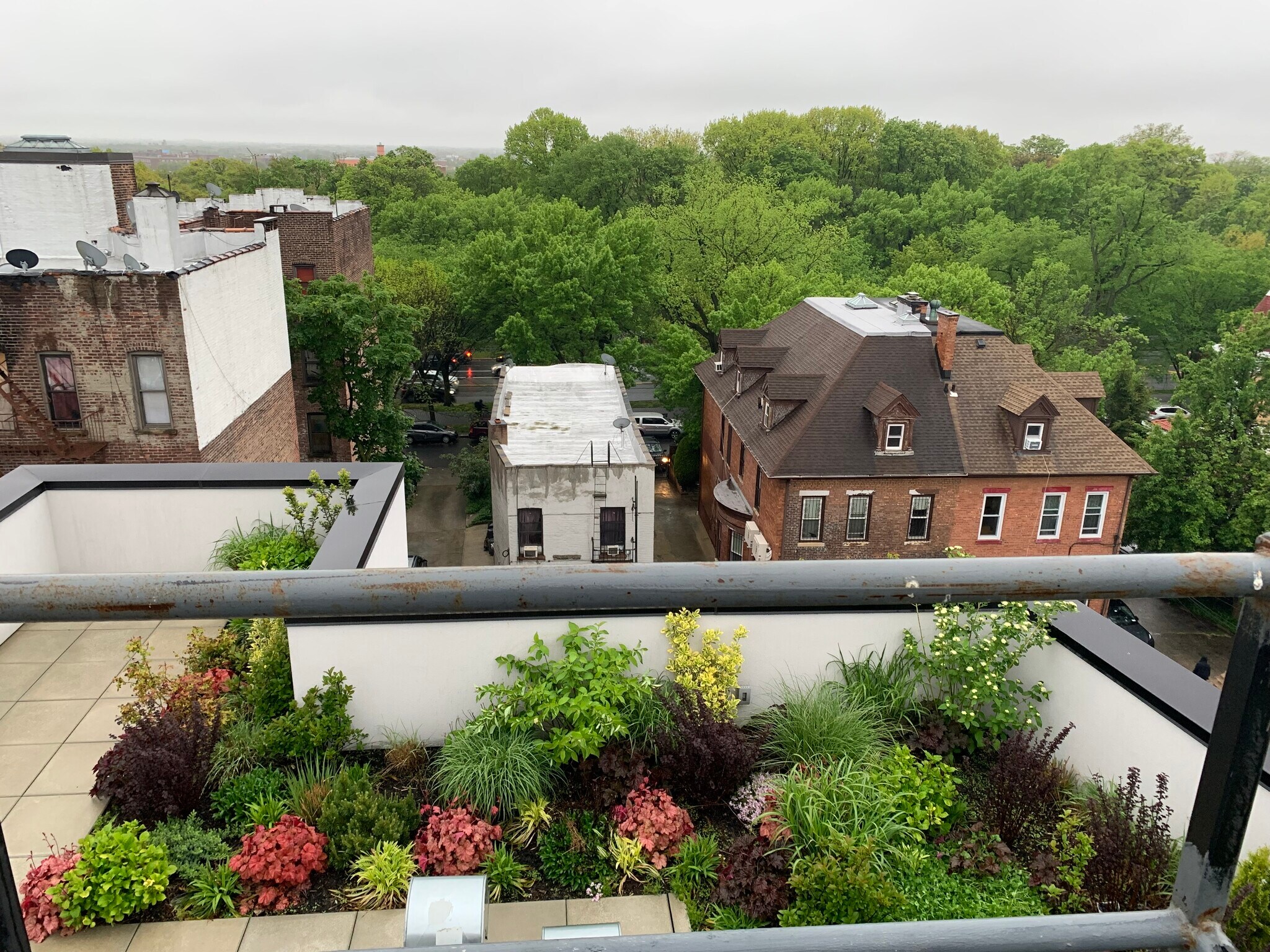 Facing EP from rooftop - 1526 Lincoln Pl