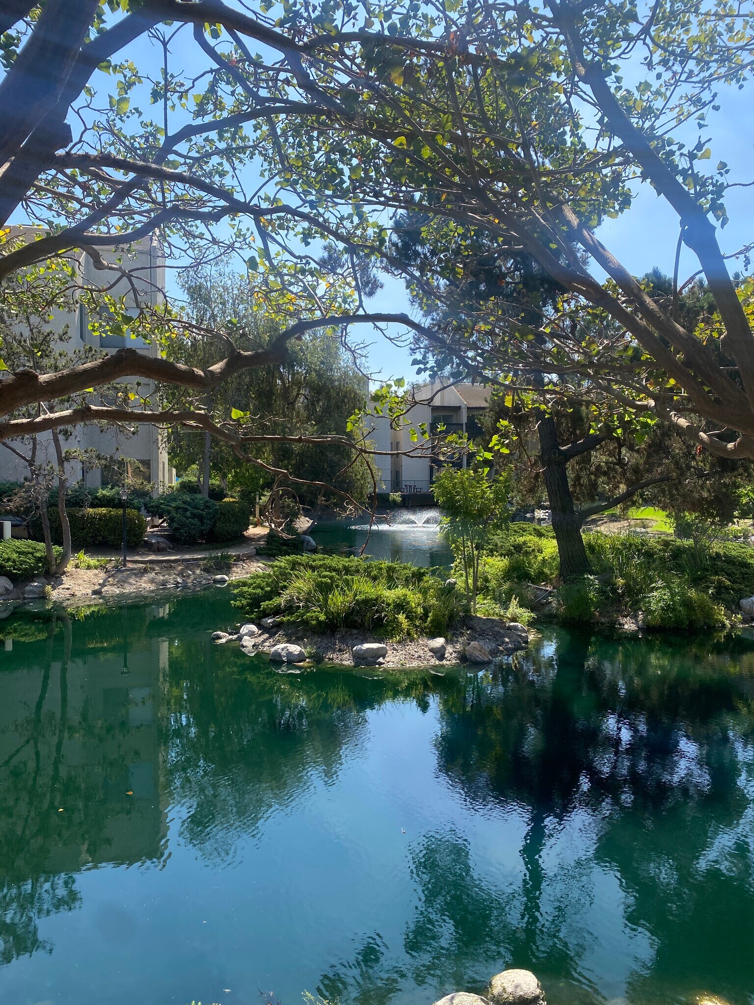 Landscaped lake and garden setting - 8305 Summertime Ln