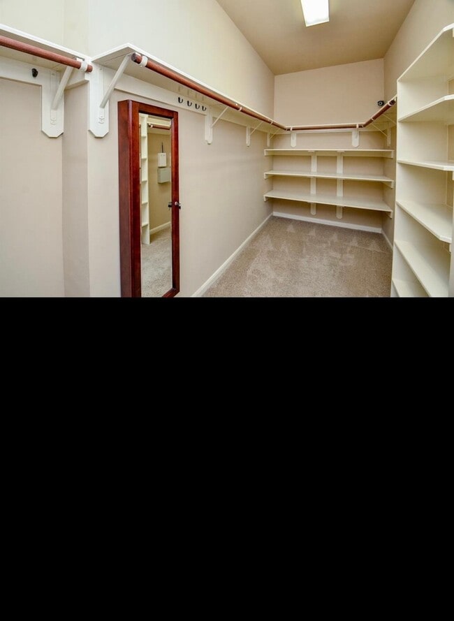 Building Photo - 2703 Bonnie Bray Dr