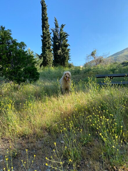 Building Photo - 13992 Irving Ln