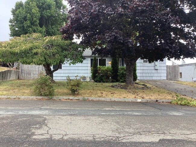 Primary Photo - 2049