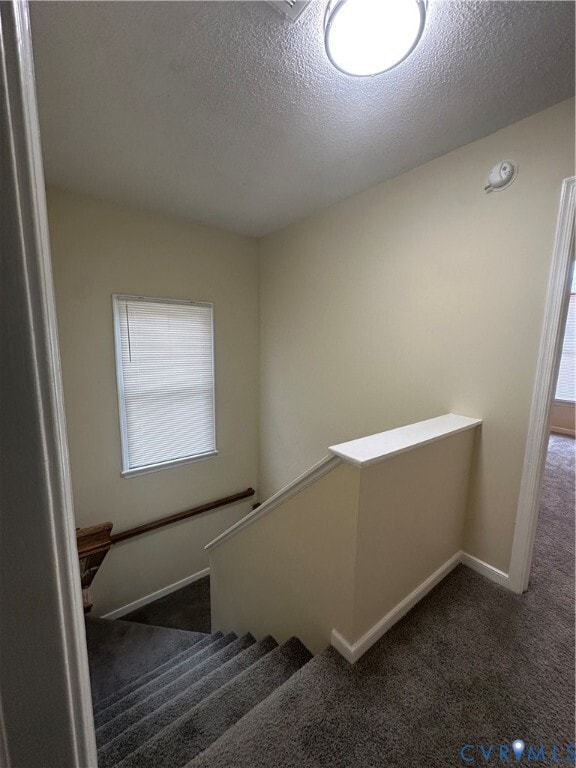 Building Photo - 4417 Burgess House Ln