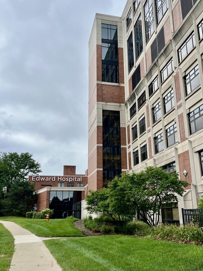 Building Photo - 59 Elmwood Dr