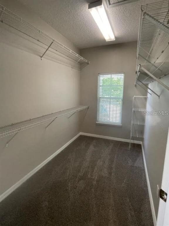 Building Photo - 809 Veranda Pl