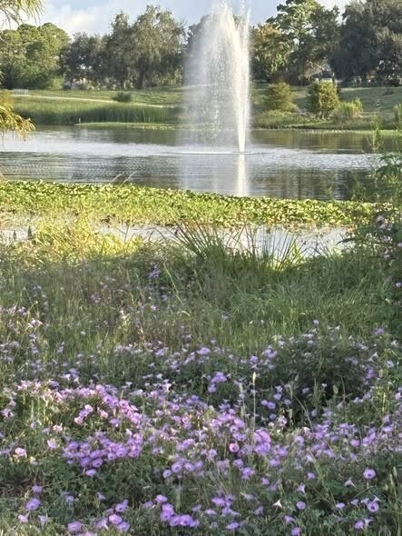 Building Photo - 1353 Ramada Dr