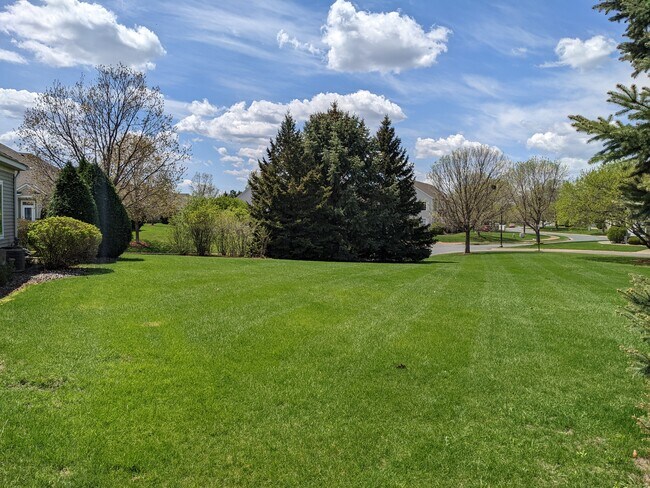 Side Lawn - 5851 Prairie Ridge Dr