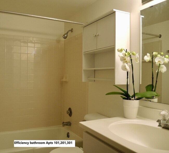 Building Photo - Studio Apartment on Main Street Downtown Madison