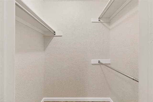 Building Photo - 1940 Abshire Ln