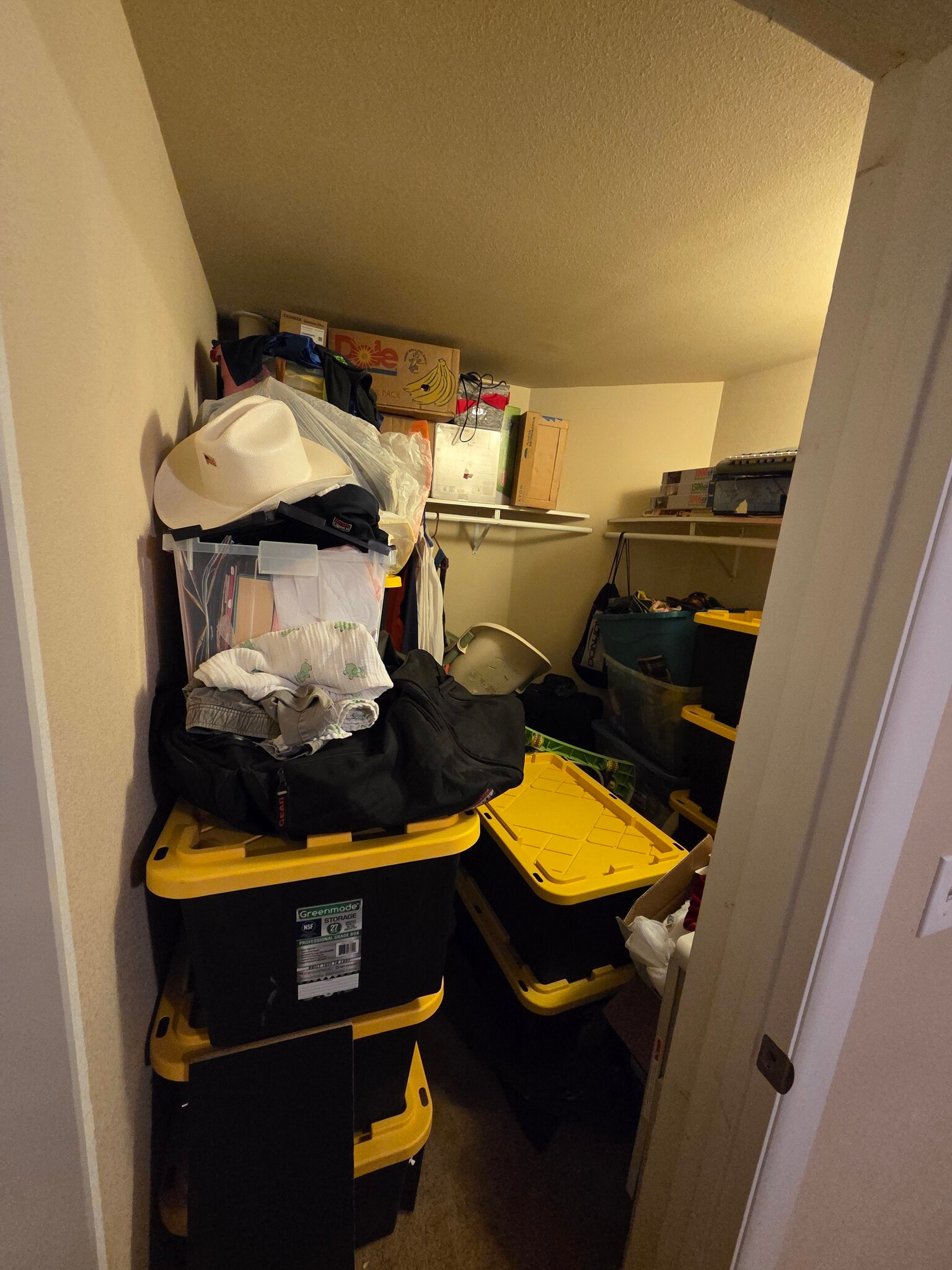 Basement Bedroom Walk in Closet - 4701 S Turnberry Pl