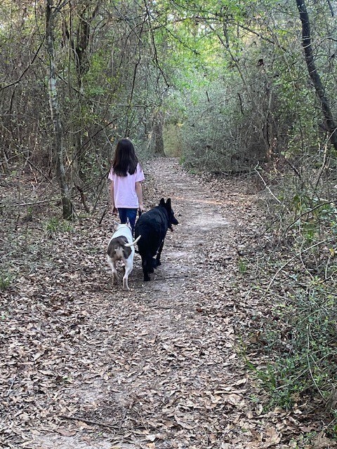 Building Photo - 4639 Sequoia Echo Dr