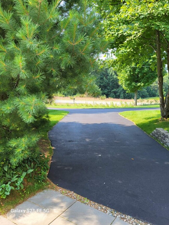 View of Reserved Parking from Deck - 433 E Sleights Rd