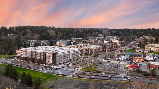 Building Photo - Alexan Main Street