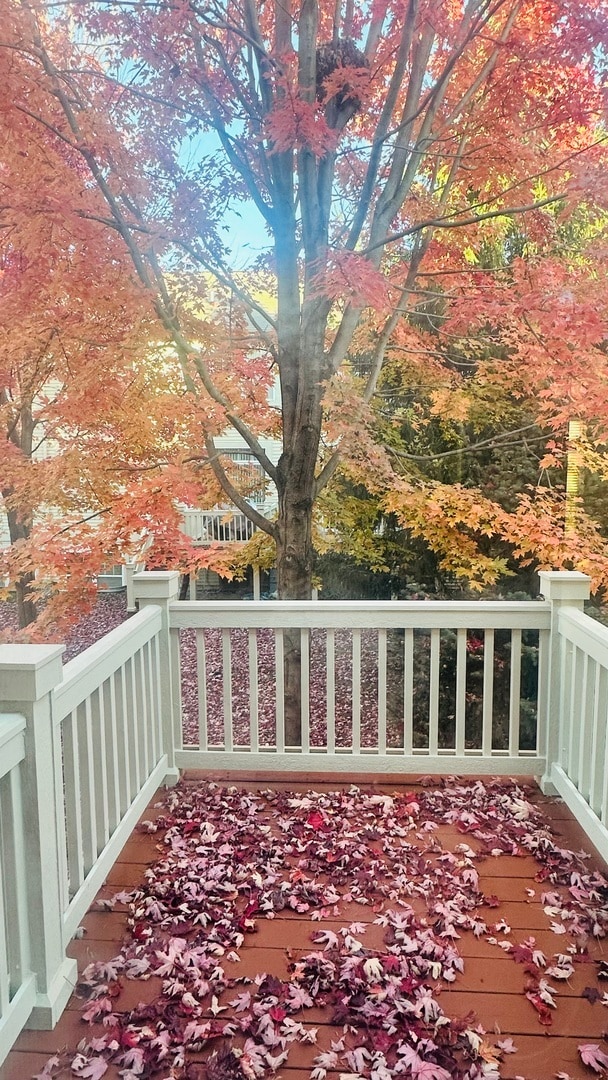 Building Photo - 3364 Kentshire Cir