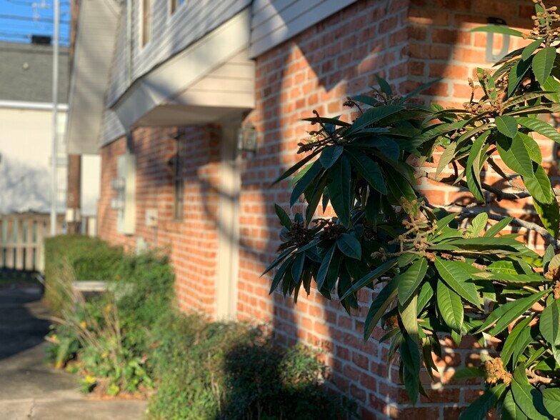 Front Door - 8335 Summa Ave