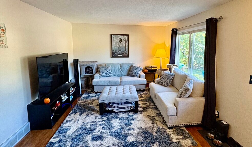 Living room - 2916 Youngdale Ave