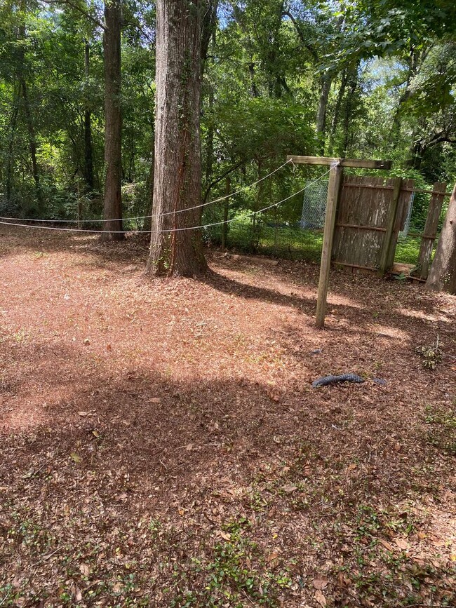 Building Photo - Recently Remodeled 2 Bedroom 1 Bathroom Du...