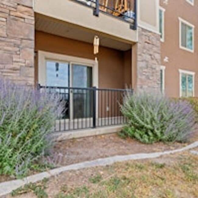Building Photo - 2153 Springtime Dr