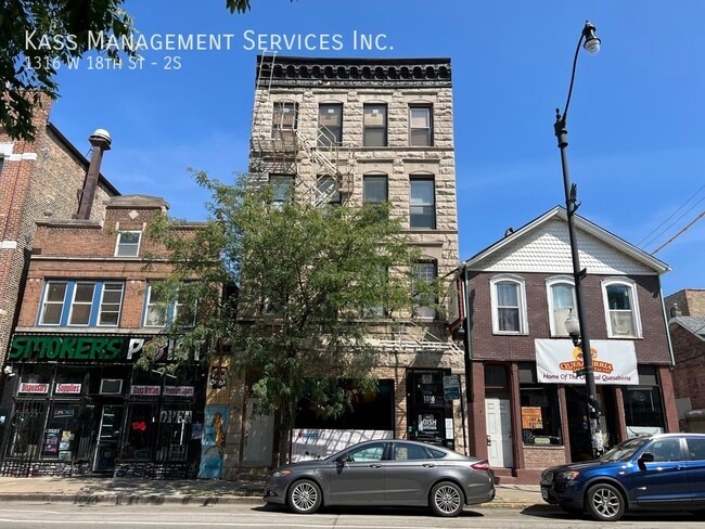 Building Photo - Recently Rehabbed Cozy Pilsen 2 bedroom Unit