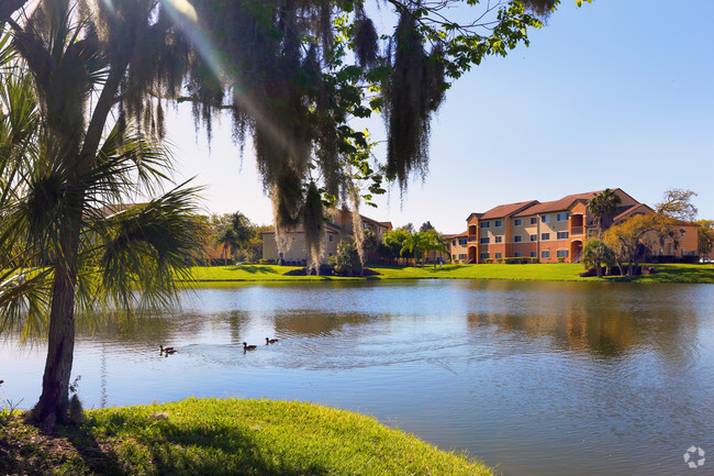 Bristol Bay Way Apartments Tampa Fl