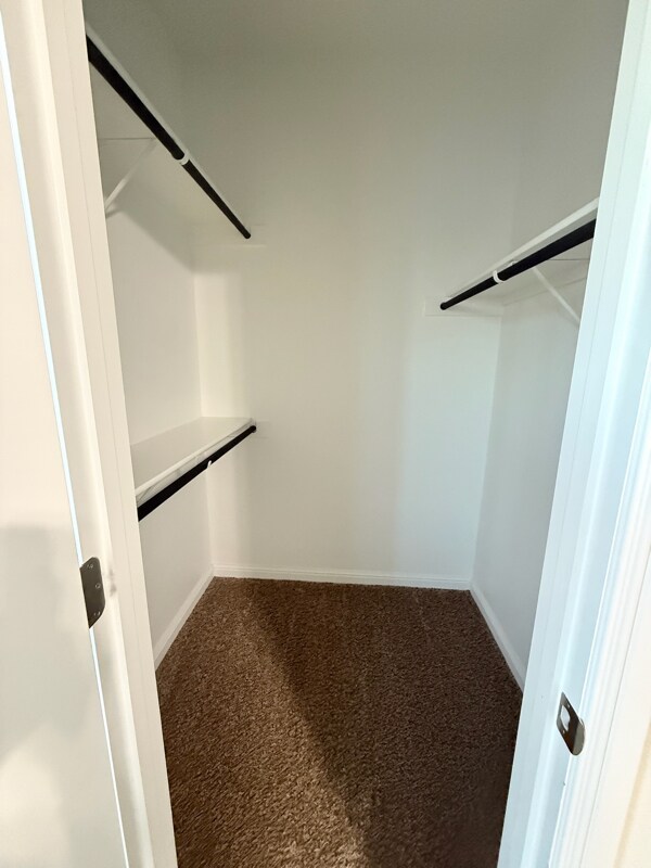 Building Photo - 565 Lindisfarne Ln