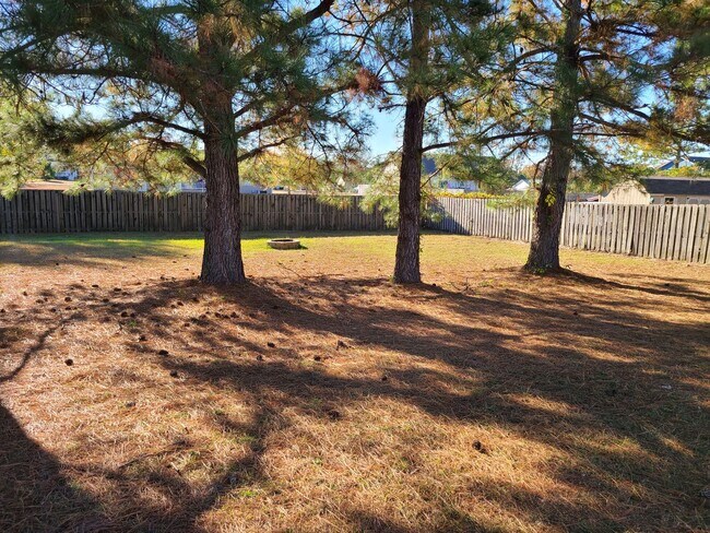 Building Photo - 3 Bed, 2 Bath Unfurnished home in Hampstead - Cross Creek Community