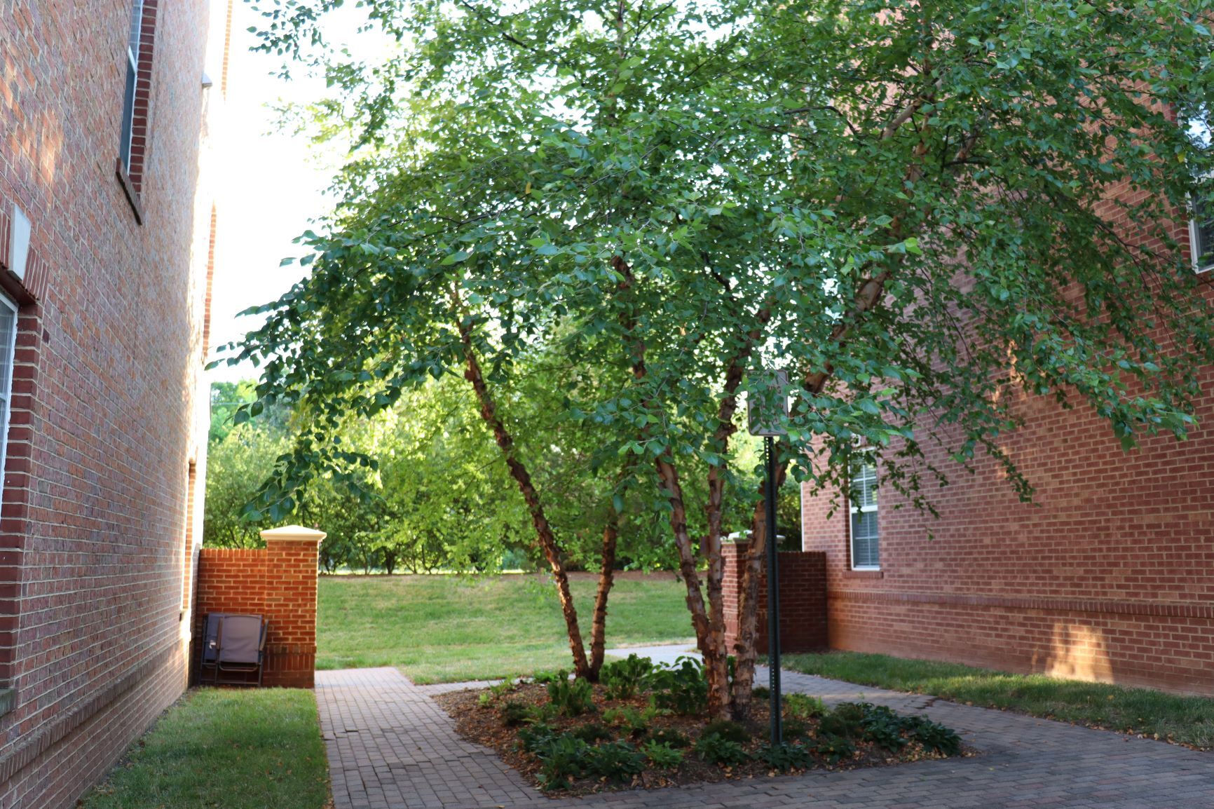 Open space between units - 222 Herndon Station Sq