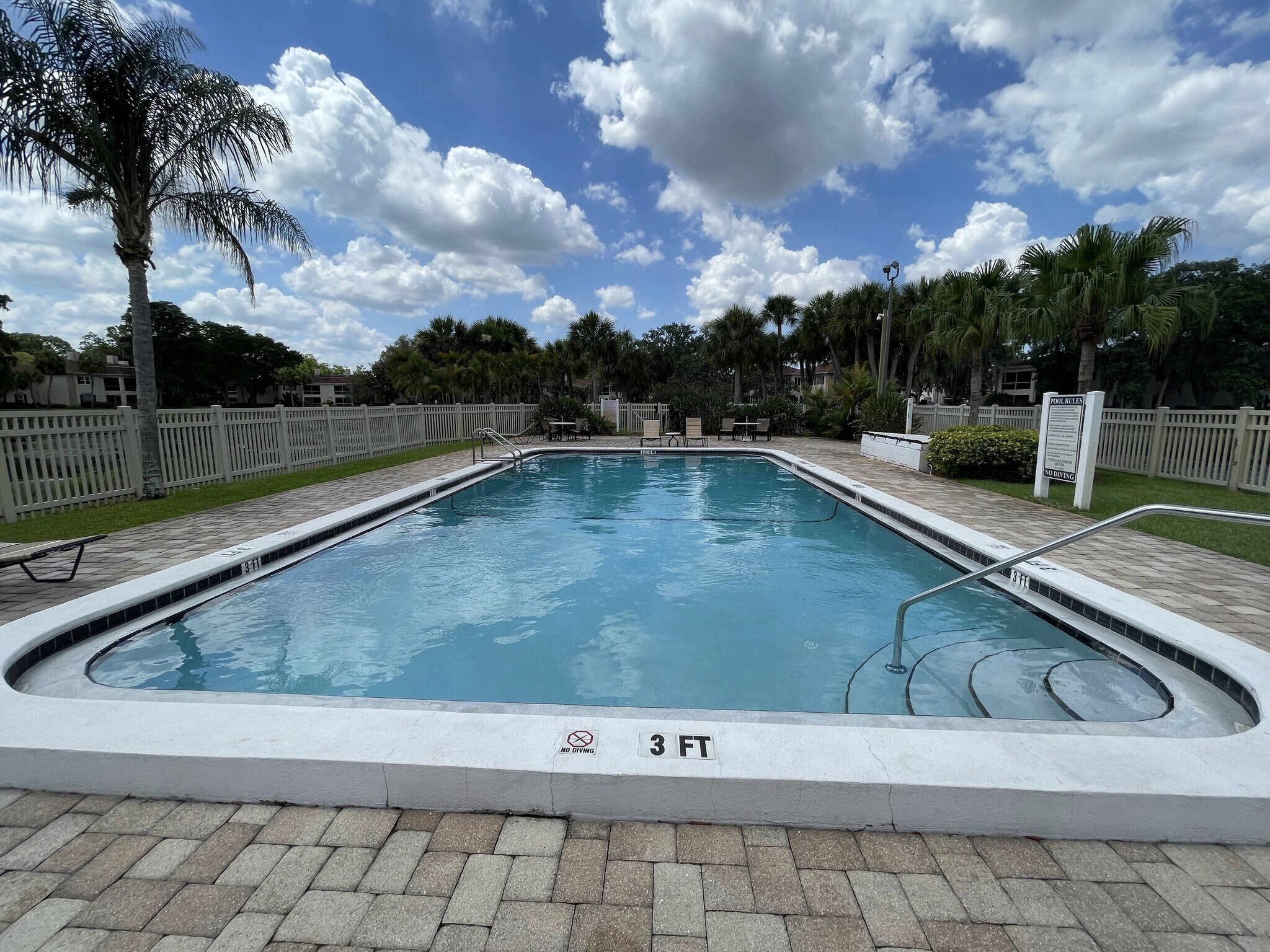 Second Pool Area - 10356 Carrollwood Ln