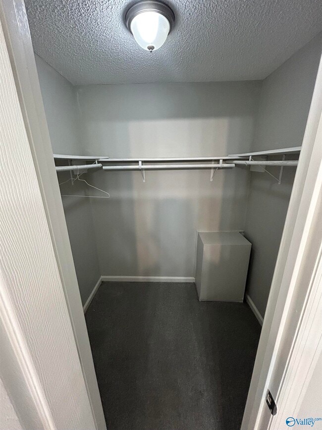 Building Photo - 109 Portal Ln