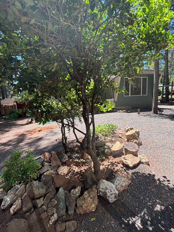 Building Photo - 14737 Wildlife Dr