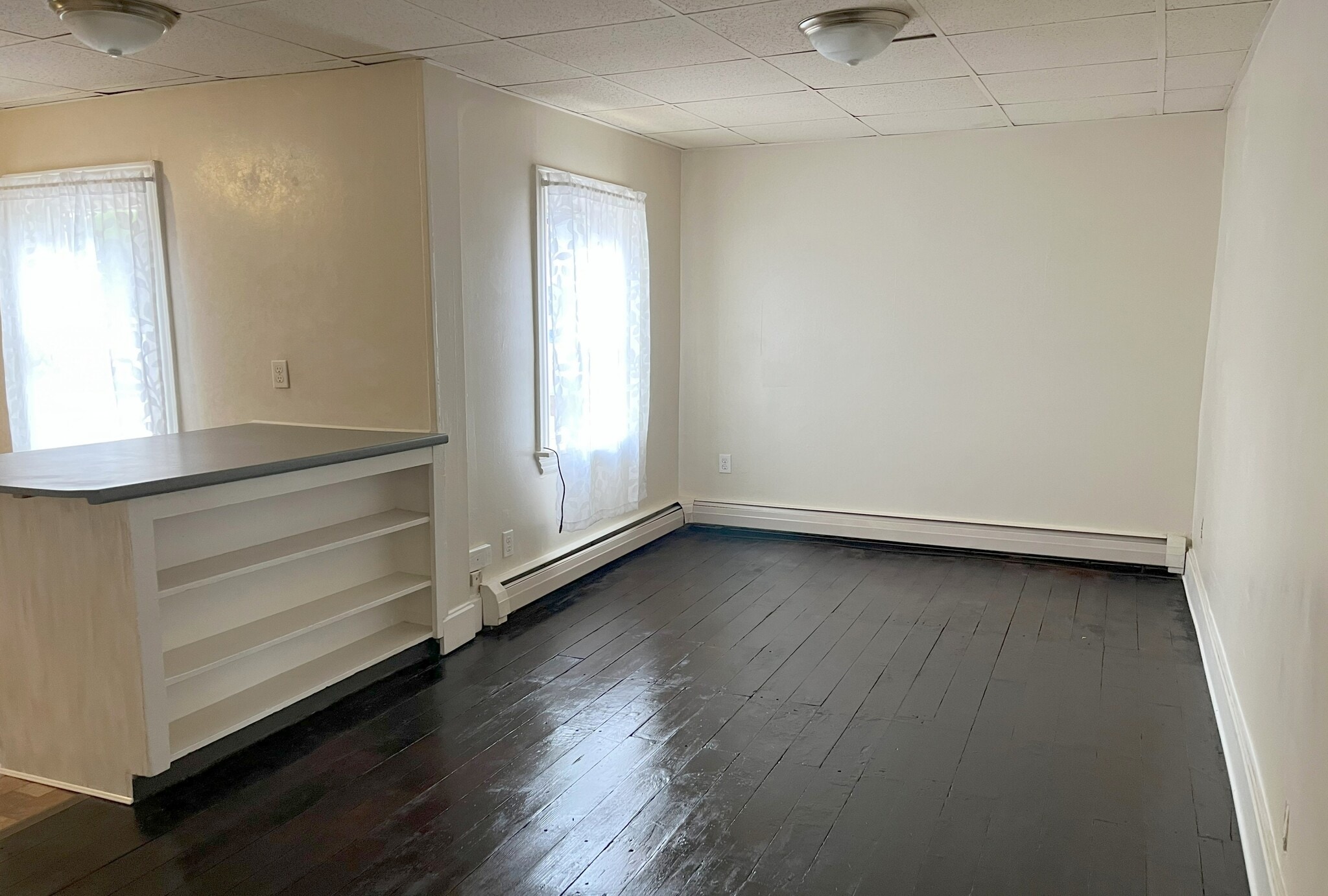 Living Room - 213 Brown St