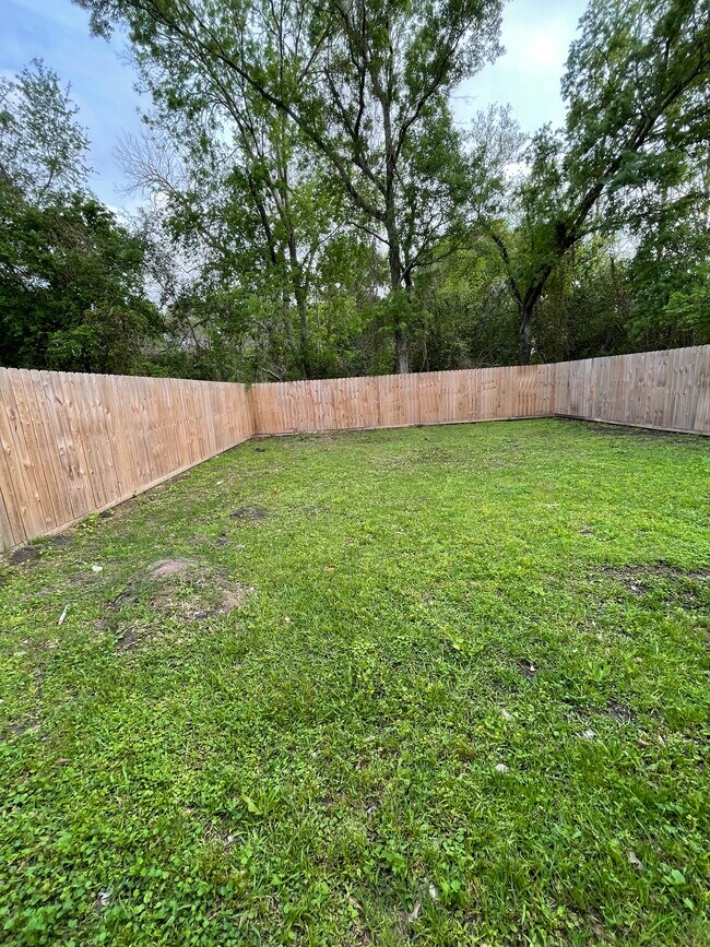 Backyard - 2995 Pecos St