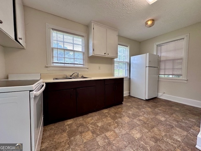 Building Photo - 105 Saynor Cir