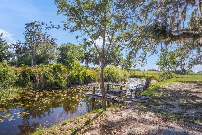 Building Photo - Ranch on 6 Acres