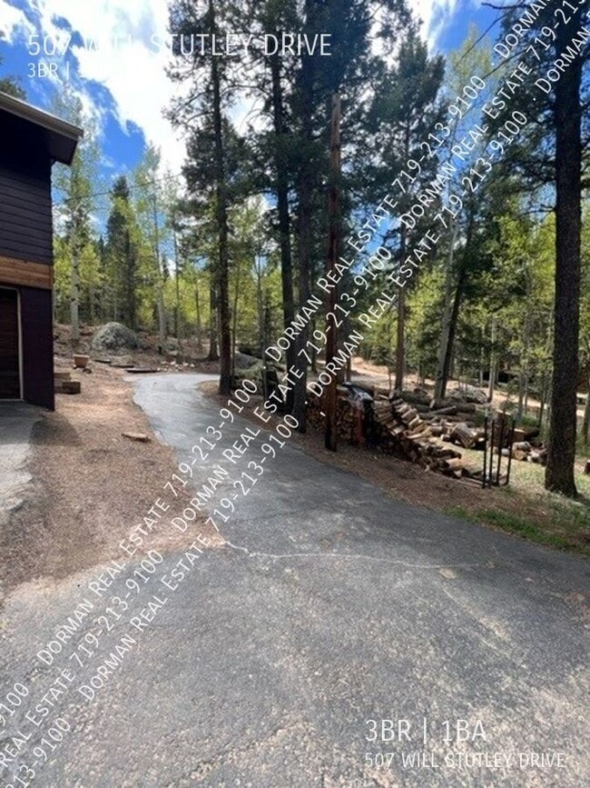 Building Photo - 507 Will Stutley Dr