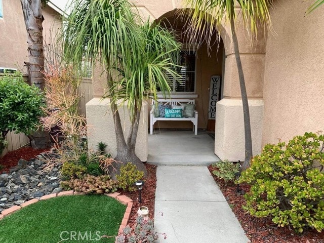 Building Photo - 1242 Avenida Amistad
