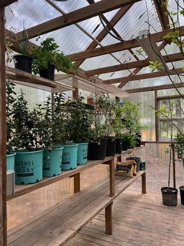 Building Photo - 104 Big Pine Dr