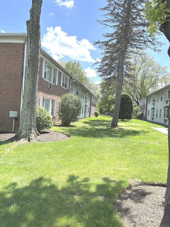 Building Photo - 117 Shadow Ln