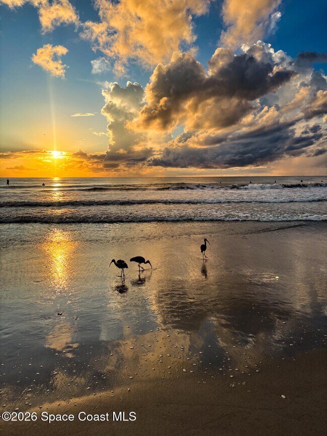 Building Photo - 1025 Jimmy Buffett Mem Hwy