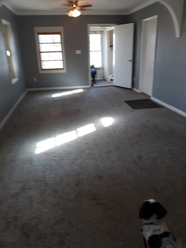 125 Charlene St 125 Charlene St Billings MT 59101 Apartment Finder 125-charlene-st-125-charlene-st-billings-mt-59101-apartment-finder